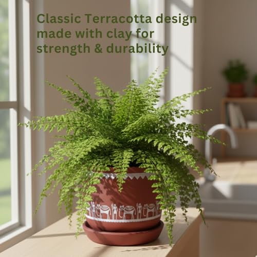 Image of Urban Upvan Terracotta Flower Pots for Garden, Dining Table & Home Decor | Elegant Planter for Living Room & Indoor Plants| Worli