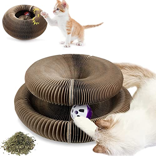 Cat Activity Fun Board Die 16 besten Produkte im Vergleich