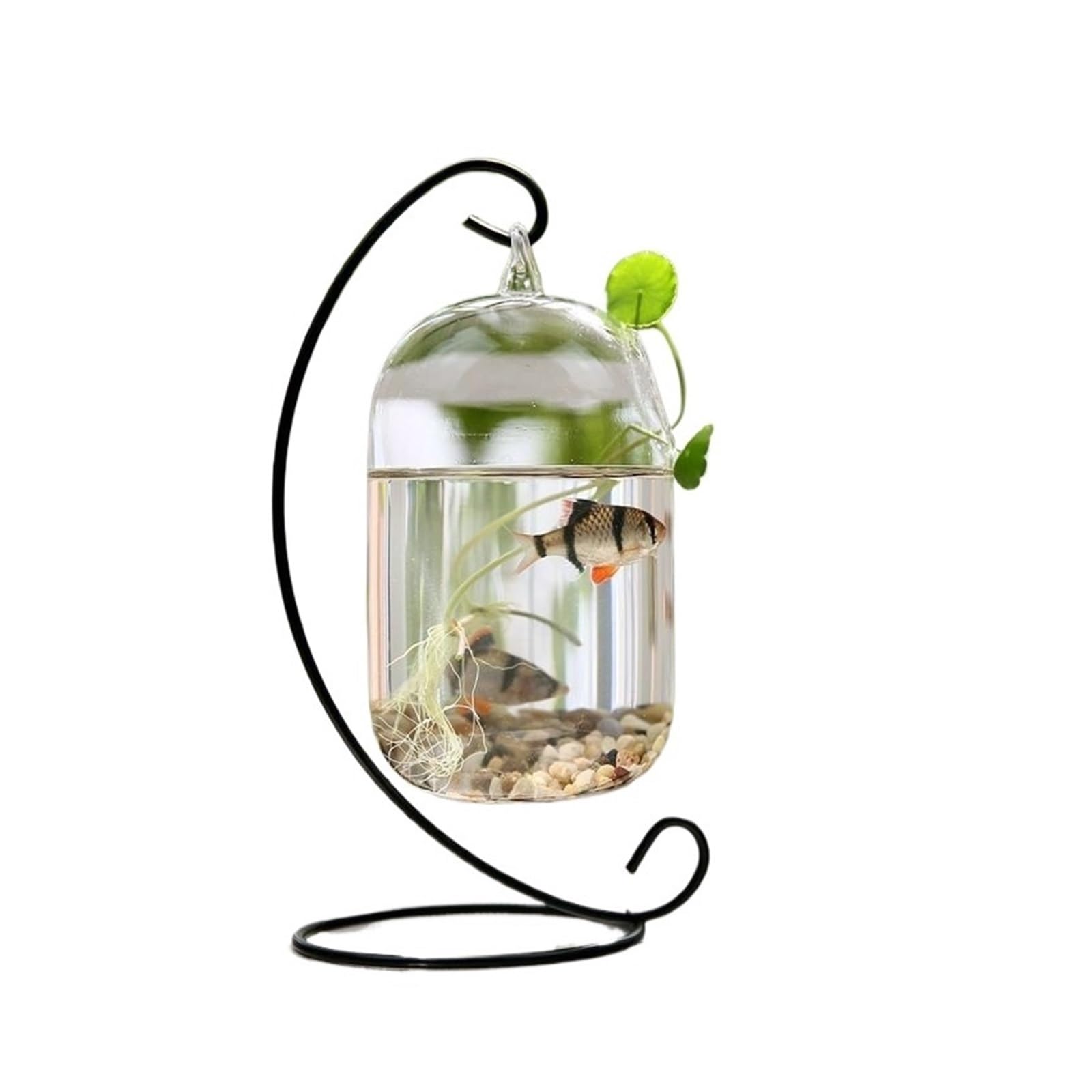 Aquarium Petit Aquarium Suspendu Design Joli Verre Petit Aquarium Cadre en métal Suspendu Bureau décoratif Aquariums Bocal ​Poisson(Noir,Grand)