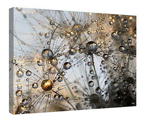Toile herbes become beauty encadrée bois pour habiller un mur vide sans effort 40x50 cm
