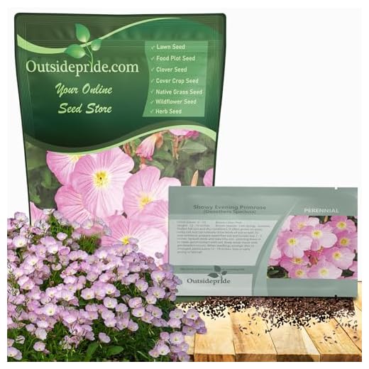 Evening Primrose Flower Seeds for Gardens
