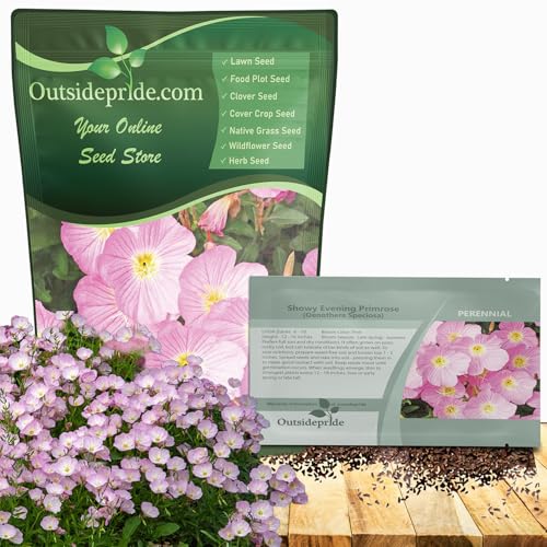 Outsidepride Showy Evening Primrose Seeds - 1/2 lb. Perennial, Hardy, Easy to Grow & Low Maintenance Flower Seeds for Planting Vibrant Soft Pink Blooms, for Containers, Borders & Erosion Control