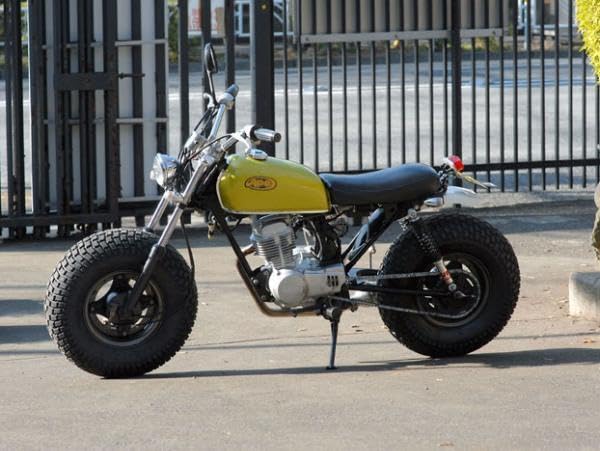 Amazon.co.jp: R＆P ノーティダックス モトラ 純正 ロングスイング