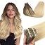 #4/18 Balayage Chocolate Brown Highlighted Dirty Blonde