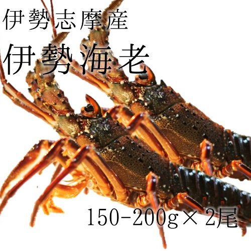 ɐCV ɐuEIɔY 300-500gi150-250g/ x2jmznnɐ ɐGr