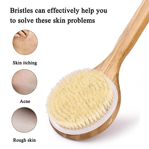 Esup Body Brush Dry Brush Back Scrubber Bath Brush with Long Bamboo Handle for Cellulite and Exfoliating, Perfect Christmas Gifts for Woman and Wen - Thumbnail 4