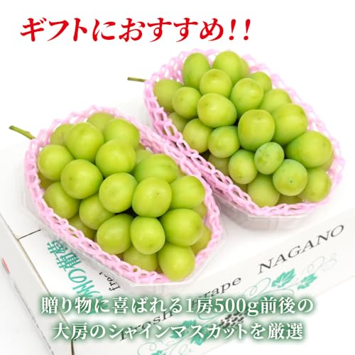 FRESH FRUITS\NISHIMURA シャインマスカット 2房(1kg前後) の商品画像 4