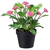 Limpiar con un paño seco. IKEA 103.953.36 Fejka - Planta Artificial en Maceta, Interior/Exterior, Color Rosa