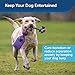 PetSafe Busy Buddy Tug-A-Jug - Treat-Dispensing Dog Toy - Slow Down Eating - 2 Cup Capacity - Lower Separation Anxiety - Cleans Teeth - Easy to Wash - Multi-Sensory Stimulation - Purple, M/L