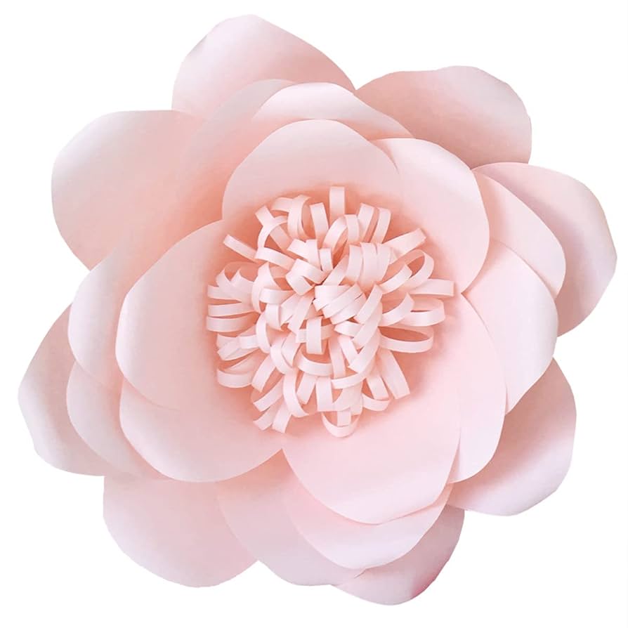 美品✨ ハウスオブロータス フラワージャガードテーパードパンツ ピンク 完売品 ミラーワークパンツ ｜ハウス オブ ロータス＜HOUSE OF LOTUS