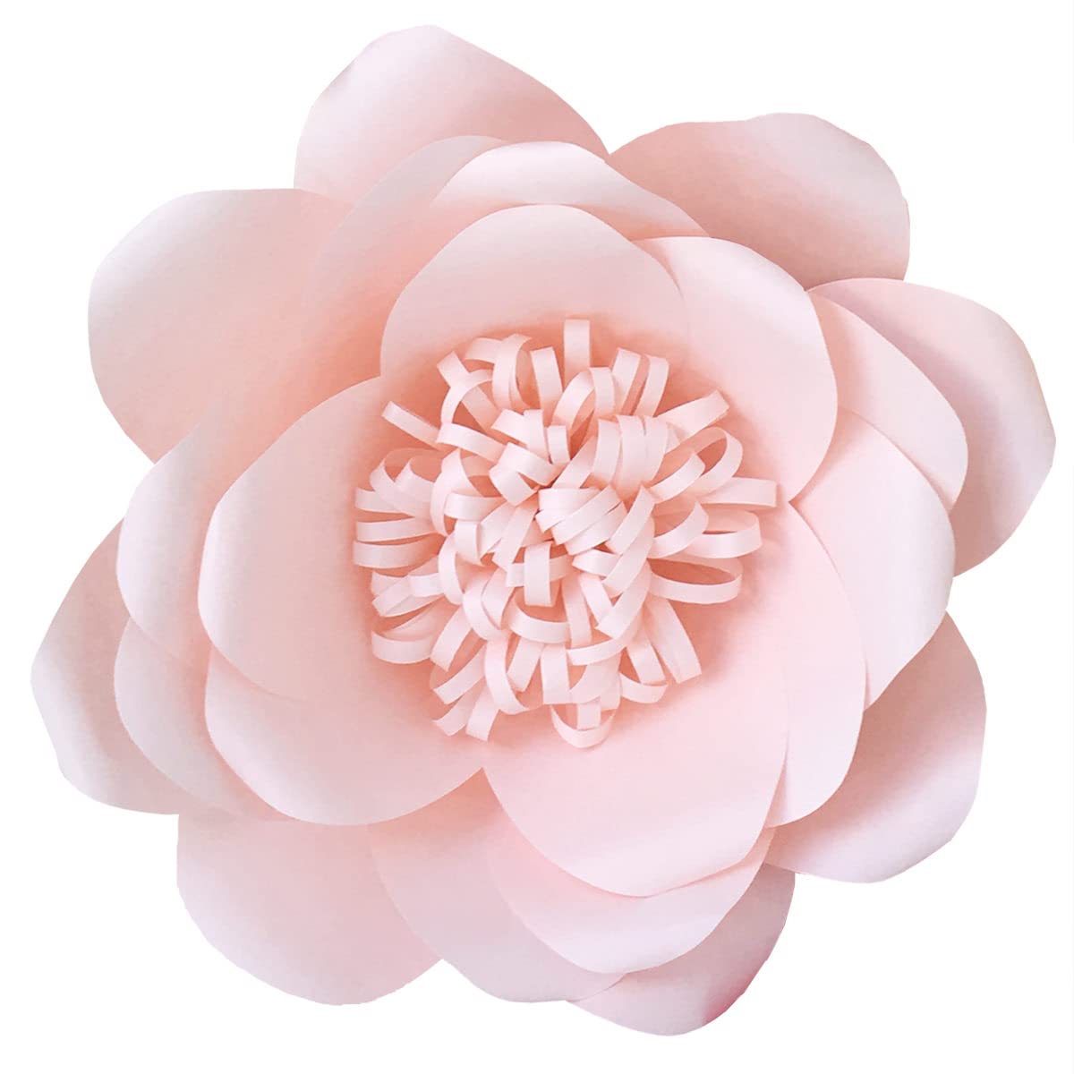 美品✨ ハウスオブロータス フラワージャガードテーパードパンツ ピンク 完売品 美品✨ ハウスオブロータス フラワージャガードテーパードパンツ