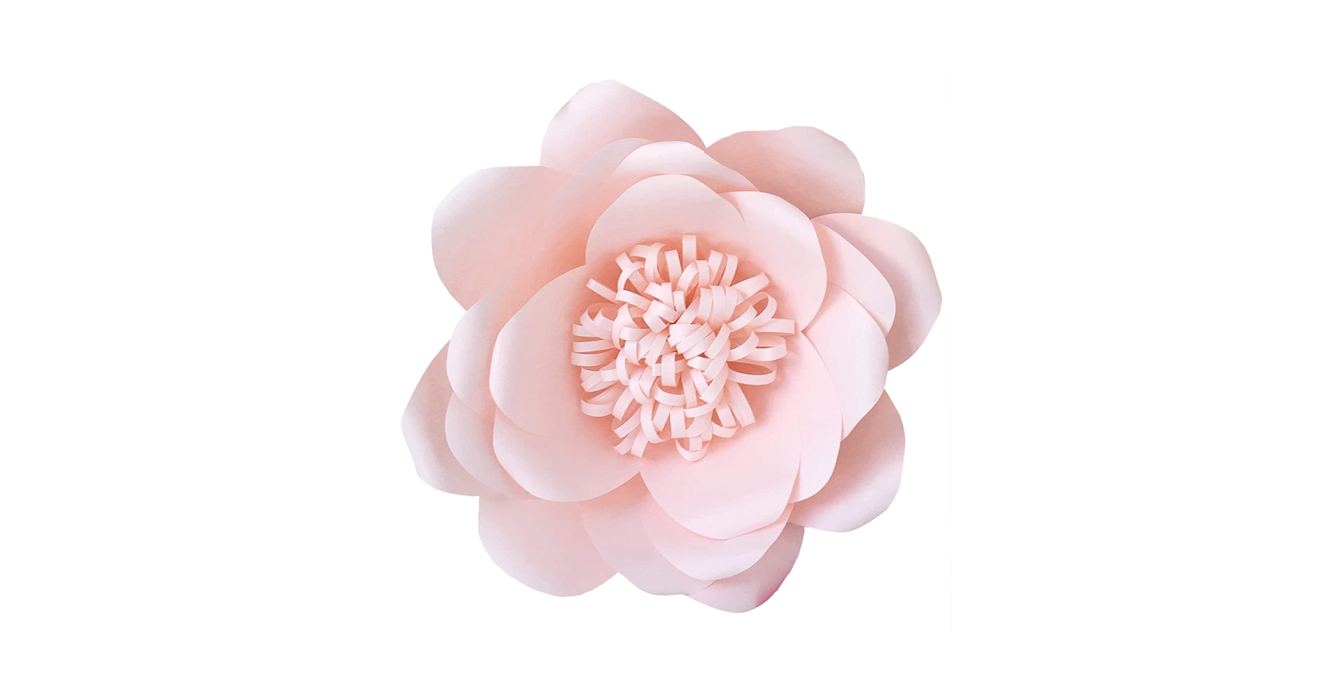 51ANu89Me2L.jpg_BO30,255,255,