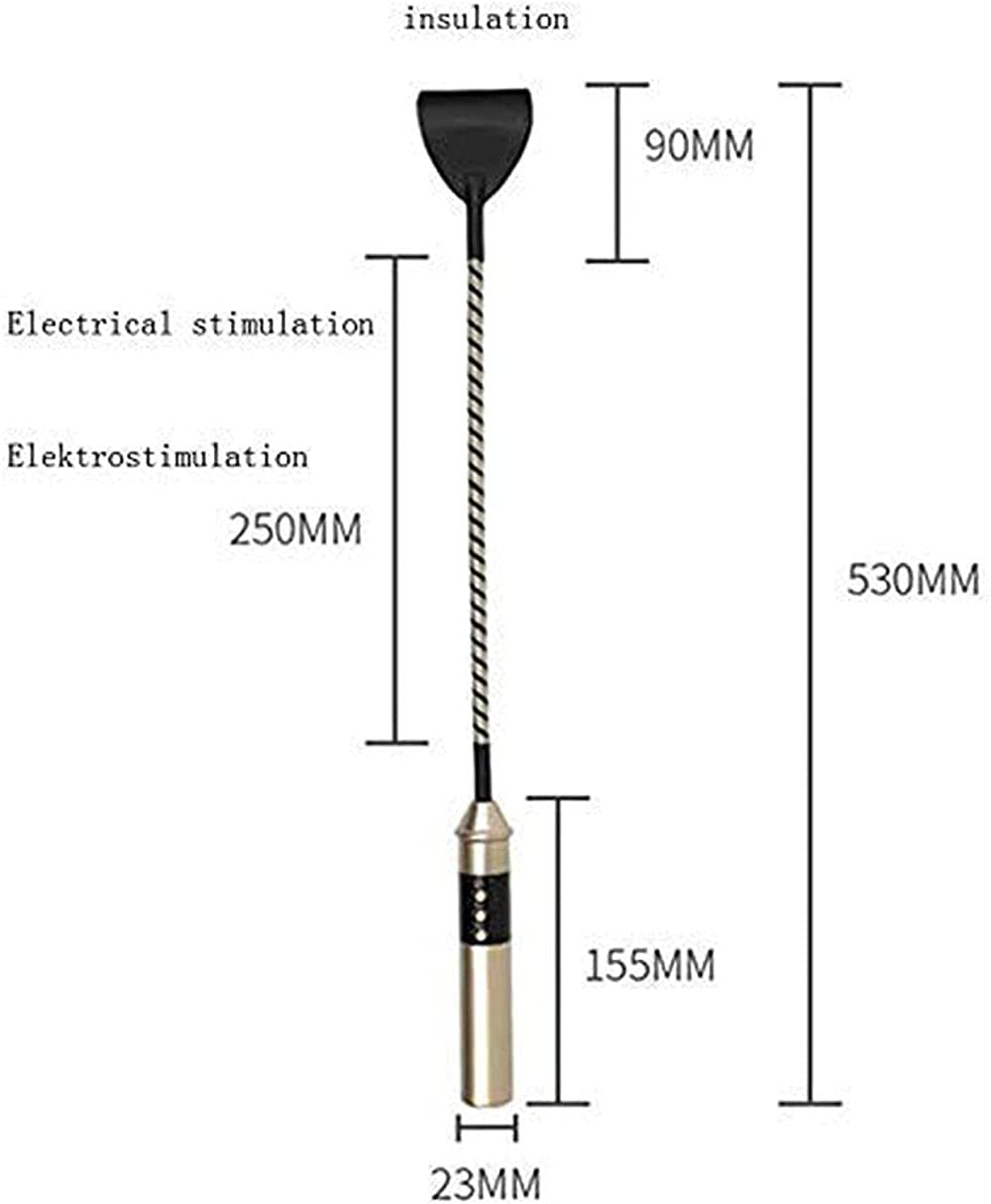 Stimulateur de choc électrique Fouet Mamelon Irritation du pénis Douleur Choc électrique Stimulant Électricité Sex Toys (Paire de jouets) Usb Rechargeable