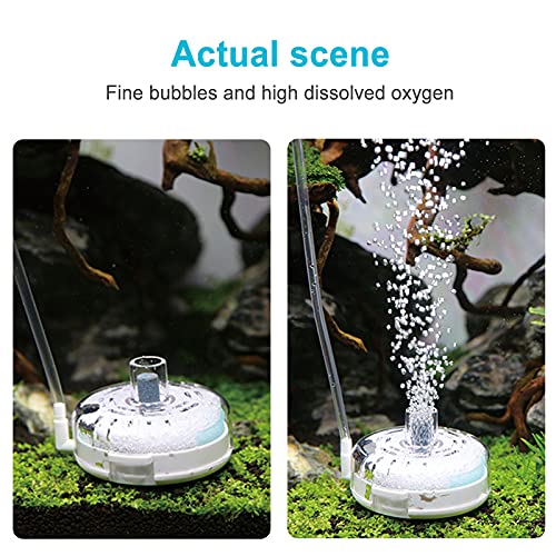 Image of UPETTOOLS Mini Aquarium Sponge Filter, Small Internal Fish Tank Filter Detachable Submersible Filter with Air Stone Suitable for 20-40 Gallon Tank ((Air Pumps and Air Tube Not Included)