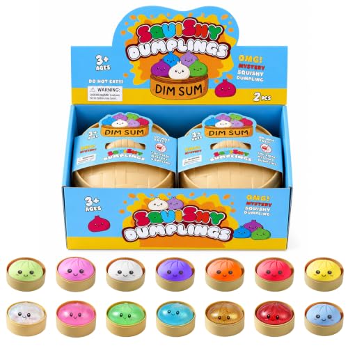 XQOQO 2PCS Squishy Mystery Box, Stress Relief for Desk Decor, Squeeze Toys