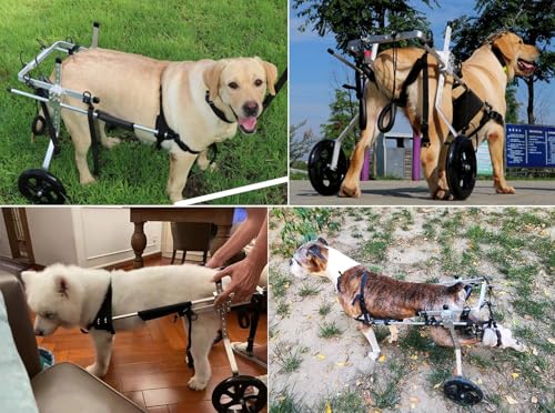 Silla de ruedas para perros grandes – Soporte de pierna trasera ajustable para asistencia de movilidad, carrito de 2 ruedas para pastores alemanes y labradores