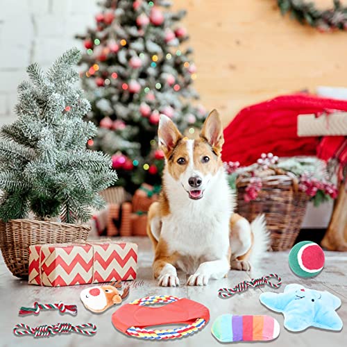 Atoke Christmas Dog Rope Toys,10 Pack Durable Pets Training Chew Ropes,Dog Christmas Stocking Gifts Puppy Interactive… - Image 6
