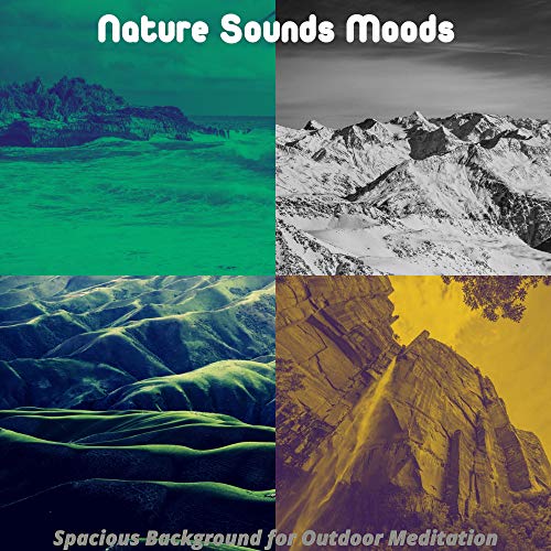 Amazon Music UnlimitedでNature Sounds MoodsのSpacious Background for ...
