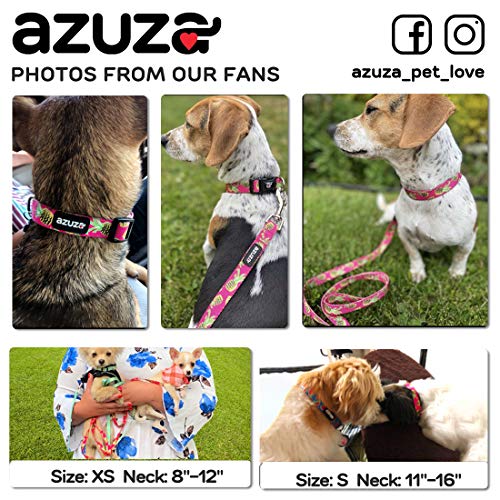 azuza Dog Collar and Leash Set, Pineapple Patterns on Nylon Collars and Matching Leash, Large Dog Collar for Large Dogs — view 6