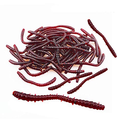 Fluke Bait Bombrooster – Esca Artificiale In Plastica Morbida 10,2 Cm, Coda Salata, Set Da 30 Pezzi, Per Spigole E Lucioperca, Con Scatola