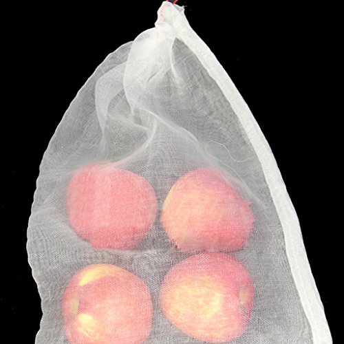   r p iCbV tB^[ obO 15x10 cm 20{