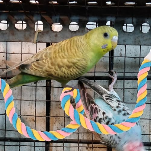 Image of POPETPOP Parrot Climb Toys Cotton Rope Perch Set of 3 Bendable Rope Perches for Birdcage Hanging Play for Parrots and Cockatiels Interactive Bird Stand for Climbing and Chewing