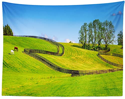 Tapisserie cowboy de l'ouest 210x150cm fond photo anniversaire sans pli
