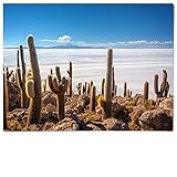 BilderKing Salzwüste Bolivien Wand-Poster 100x75cm groß. Print auf seidenmatten 225g/m² Posterpapier. Das Wandposter erhalten Sie inkl. 12 Posterklebepunkte zum befestigen