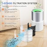 2 Pack H7129 H7128 Replacement Filter Compatible with GoveeLife H7129 H7128 Smart Air Purifiers, 3-in-1 H13 True HEPA Filters for Govee Air Purif-ier, 4 Extra Pre-Filters