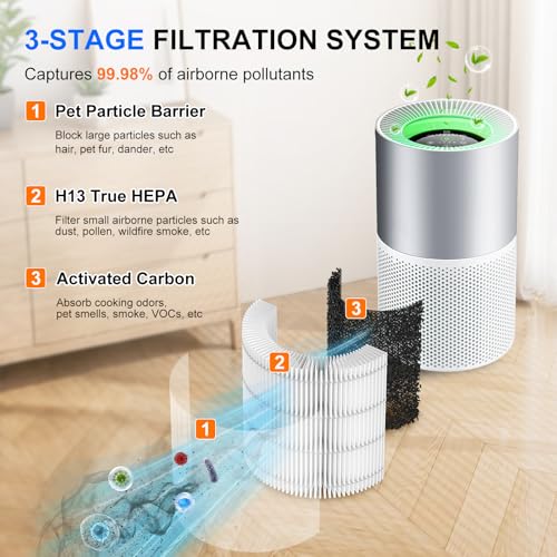 Image of 2 Pack H7129 H7128 Replacement Filter Compatible with GoveeLife H7129 H7128 Smart Air Purifiers, 3-in-1 H13 True HEPA Filters for Govee Air Purif-ier, 4 Extra Pre-Filters
