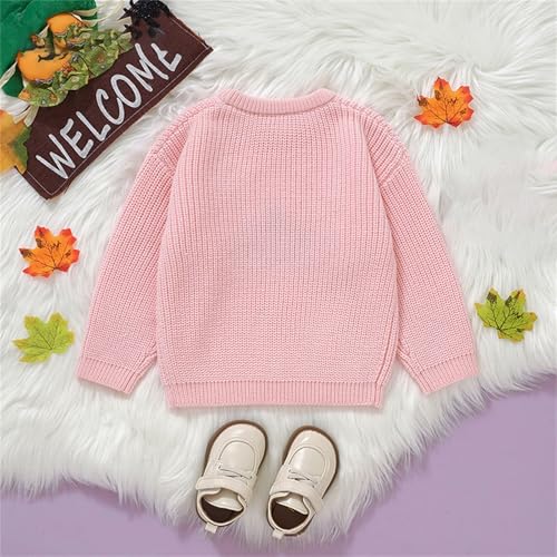 Toddler Ribbed Knit Sweater Halloween Pumpkin Graphic Pullover Crochet Sweater Cute Crew Neck Long Sleeve Tops2