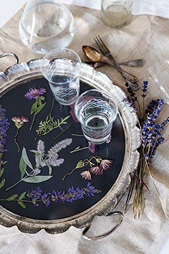 Veilchen, Farn & Ringelblumen: Gestalten mit