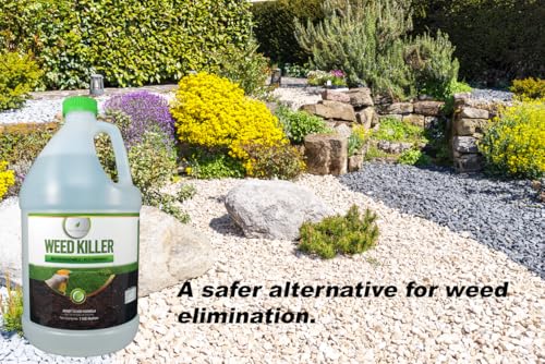 Image of Natural Elements Weed Killer | Pet Safe, Safe Around Children | Natural Herbicide (1 Gallon)