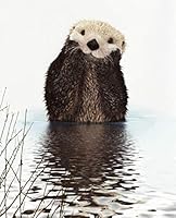 OTTER COMPOSITION NOTEBOOK: 7.5 X 9.25 WIDE RULED 110 pages book for girls, kids, school, students and teachers 1080425977 Book Cover