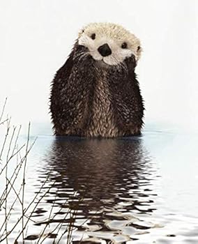 Paperback OTTER COMPOSITION NOTEBOOK: 7.5 X 9.25 WIDE RULED 110 pages book for girls, kids, school, students and teachers Book