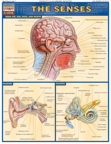 Image of Bar Charts Senses Guide Med /Health