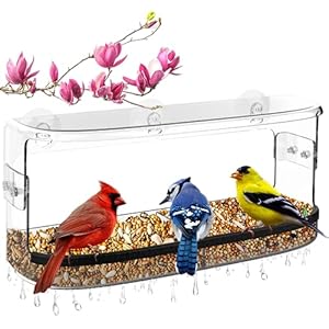 Ermete Window Bird Feeder with Strong Suction Cups, Large View Clear Bird Feeder Window, Bird Window Feeder with Bird Seed Tray, 13in x 5.5in x 4.2in Window Bird Feeders for Outside