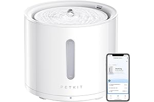 PETKIT EVERSWEET Solo 2 Wireless Pump Cat Water Fountain