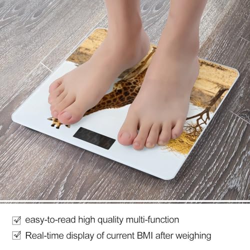Báscula digital de baño precisa y estable BTCOWZRV miniatura 5