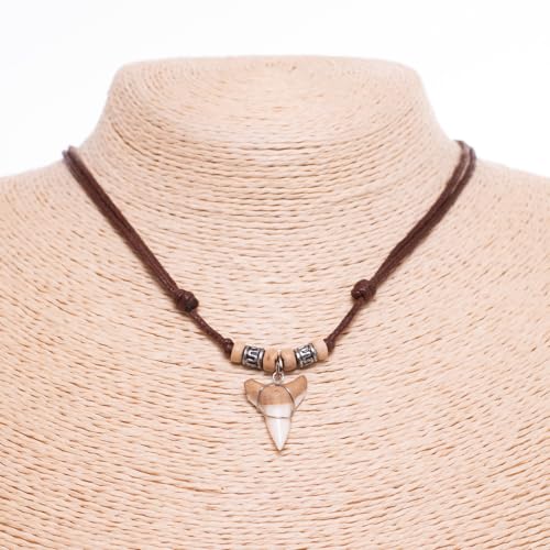 BlueRica Shark Tooth on Adjustable Cord Necklace (3L)4