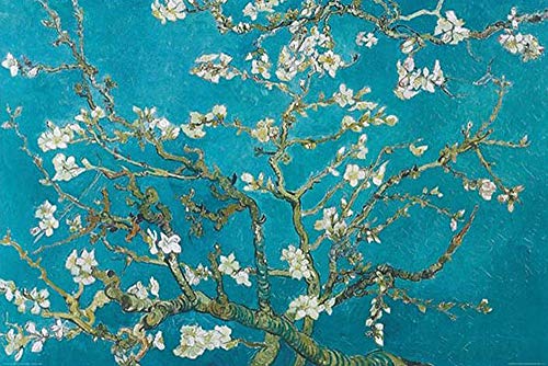 Close Up Poster de Van Gogh Amandier en Fleurs, 1890 (91,5cm x 61cm) + Un Poster Surprise en Cadeau!
