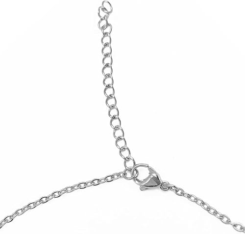 Miniatura 4 de Aoloshow Collar personalizado con nombre, placa de nombre - Joyería de acero inoxidable para regalo de cumpleaños o Navidad para mujeres, hombres