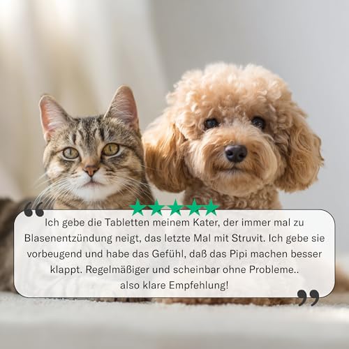 Urologist Aid 250 mg - Blasenformel bei Blasenentzündung & Blasengries für Katzen, kleine Hunde, Meerschweinchen & Kaninchen - pflanzliches Nahrungsergänzungsmittel für Blase & Harnwege - Sensipharm