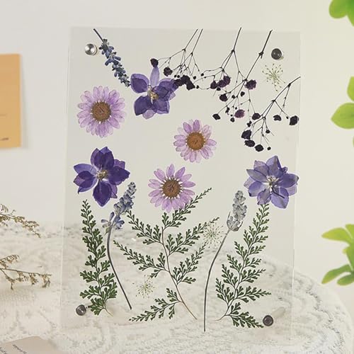 Cadre acrylique rectangulaire haute clarté pour exposition premium - 5