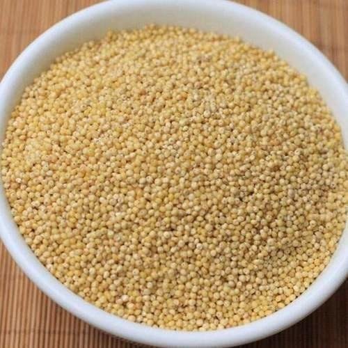 Kuthiraivali / Barnyard Millet / Oodalu 1Kg Amazon.in Grocery