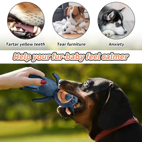 Healife Robust Bär hundespielzeug unzerstörbar für Aggressive kauer - Kauspielzeug Hund, Hundespielzeug große Hunde, Dog Toys - Unkaputtbar bär, Quietschendes bären hundespielzeug