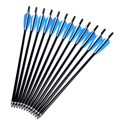 E5E10 20"/22'' Crossbow Bolts Carbon Arrows 8Mm Shaft Half Moon Nocks With Replaceable Screw-In Broadhead For Crossbow Hunting Target Practice Outdoor Gift, 12Pcs (22Inch) #TOP16