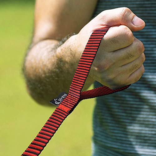 Image of Hi Kiss Dog /Puppy Obedience Recall Training Agility Lead - 15ft 20ft 30ft 50ft 100ft Training Leash - Great for Training, Play, Camping, or Backyard(50ft,Black red)