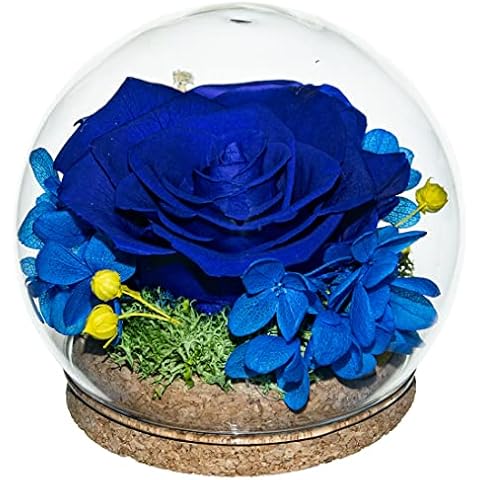 Rainbow Preserved Real Rose in a Circular Glass Cover, with Wooden Base, a Gift for Valentine's Day, Mother's Day Christmas, Anniversary, Girlfriend Birthday, (Blue) Cover