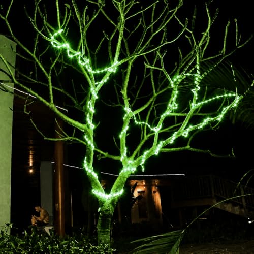 Image of COXO 40 Meters LED Rope Light for Decoration - Waterproof Green SMD Cove Light for Ceiling, Home Decor, LED Pipe Light for Diwali, Festival, Indoor, Outdoor Use (Green, 40 Meter)